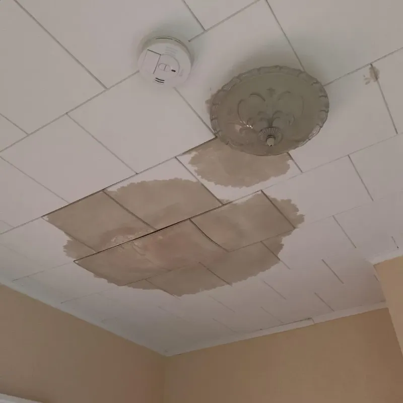 Ceiling Water Damage Repair in Bunker Hill, IL