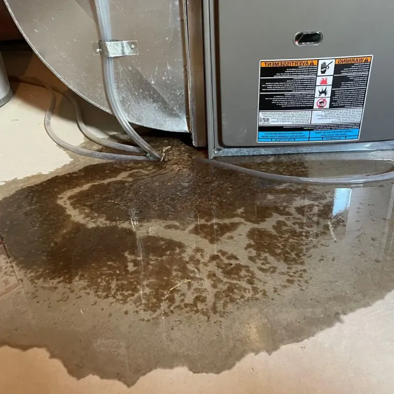 Pipe Burst and Leak Restoration in Bunker Hill, IL