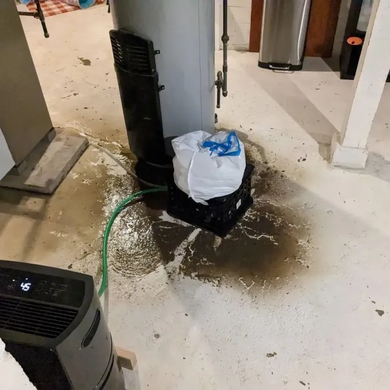 Sewage Backup Cleanup Service in Bunker Hill, IL